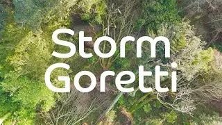 Storm Goretti: Damage At Trebah Garden