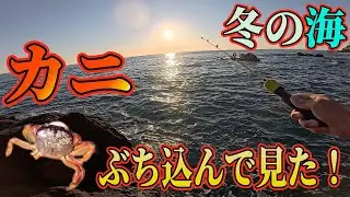 万能エサ「カニ」は冬の海でも通用するのか？