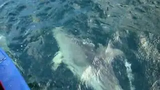 DSCN0446