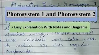 Photosystem 1 and 2/ Photosynthesis/Types/Working/Easy explanation/Diagrams/NEET/NET/Notes/Tricks