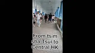 Sunday holiday from tsim sha tsui to Central