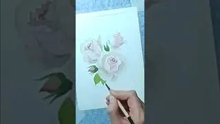 Рисую розы акварелью/Painting roses in watercolor #shorts