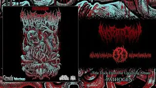 HYSTERECTOMY(AUS) - PATHOGEN [SINGLE] (2020) SW EXCLUSIVE