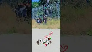 Bulgaria Border Crossing 🚸 Illegal Border Crossing#europe #t&uuml;rkiye #bulgaria #illegalentry