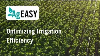 Optimizing Irrigation Efficiency