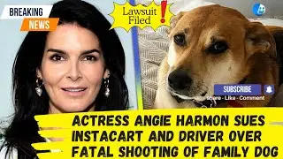 Actress Angie Harmon Sues Instacart and Driver Over Fatal Shooting of Family Dog