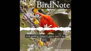 Saving Honeycreepers from Avian Malaria