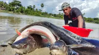 Cast Net Fishing | Traditional Net Fishing in Pond | Fishing With Beautiful Nature P2