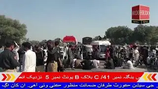 Sindh Agriculture University Tando jam News