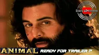Top Bollywood News & Updates | Animal | Tiger 3 | Jugal Jangid