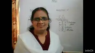 ICSE CLASS 10 BIOLOGY-ABSORPTION BY ROOTS PART 3