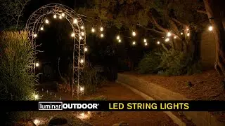 Luminar 24 Ft. 12 Bulb Outdoor LED String Lights | Harbor Freight