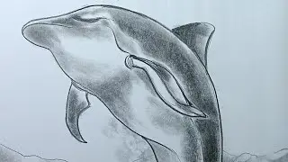 How to draw Dolphin drawing in pencil shade.Artist Pradip Pal Tutorial❤️ Suryadeep art gallary.