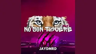 No Son Tiguere