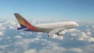 Asiana Airlines: the Fastest-Growing Carrier in the Eastern Asia