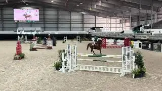 November 14, 2025: 6th place $500 1.20/1.30m Jr/Am Jumper - NKH Honey Badger