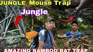  Part-1/Jungle Mouse Trap And Bamboo Trap/amazing bamboo rat trap/Northeast 