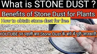 Best Free Organic Calcium for Plants, What is Stone Dust, Benefits of Stone Dust for Plants