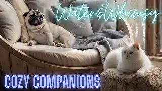Redecor : Cozy Companions Winning 5 Star Designs