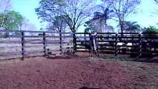vida de cowboy