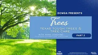 Tree and Tree Care CE Part 2 November 11, 2025