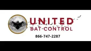 Nacogdoches Commercial Bat Control | 866-747-2287
