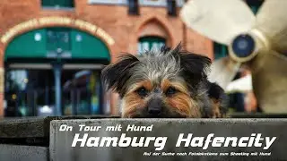 On Tour mit Hund in der Hafencity - Die Suche nach einer Fotolocation zum Hunde - Shooting