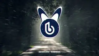 DemFlow - BadMan