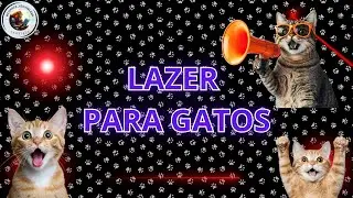 Video para #gatos - #lazer