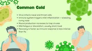 Flu & Common Cold problems in winter 