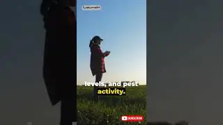 Precision Farming AI Revolution in Agriculture