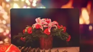 Seasons Greetings From Rittners Floral School: A Quick Step by Step Video