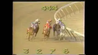 1985 Aqueduct FIGHTING FIT Richard Migliore Toboggan Handicap