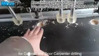 Woodworking mz73032 Multi- Head Hinge Boring Drilling Machinery for Door Cabinet