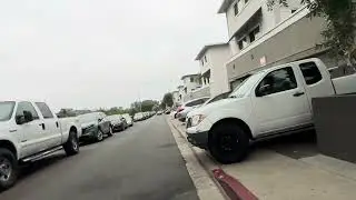 TGIF Dog Walk Through College Area, San Diego 8/15/25 6:53AM Part 1 of 2