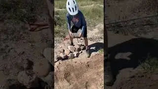 We Build A Rock Garden!