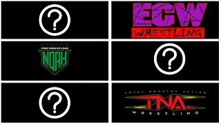 Wrestling History: WWE Partnerships (Part 1)