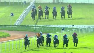MAGILETO : THE BANGALORE TURF CLUB TROPHY (28)