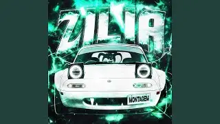 MONTAGEM ZILIA (Slowed)