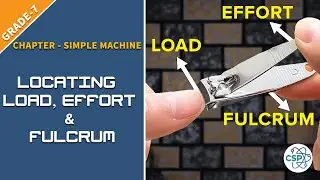 To Classify Types of Levers and Locate Load, Effort & Fulcrum Point | Class-7