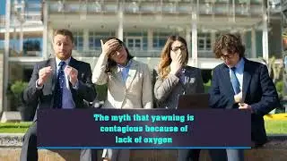 Is Yawning  Due to lack of Oxygen?