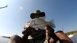 Late Summer Kayak Crappie Fishing... No Sonar UrbanSportfishing.net Jigs ... Fall is here!