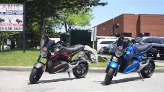 NEW Vipermax E-Bikes - Daymak EM3, EM2, Emmo Proton, GTS, Zone s