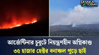 আর্জেন্টিনার চুবুটে নিয়ন্ত্রণহীন অগ্নিকাণ্ড, ৩৫ হাজার হেক্টর বনাঞ্চল পুড়ে ছাই | Argentina Wildfire