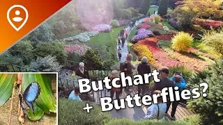 Excursion review: Butchart & Butterfly Gardens in Victoria, Canada!