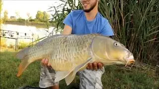 Carpfishing in Wild Lake