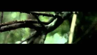 Hypno5e - Acid Mist Tomorrow - New Album - 2012