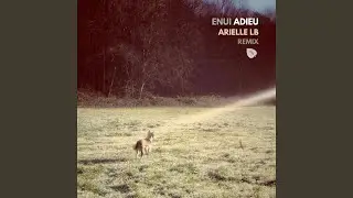 Adieu (Arielle LB Remix)