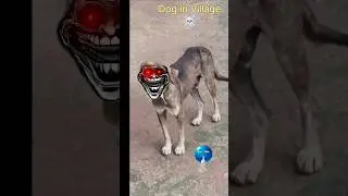 Dog in Village wait for end #funny#Village dog#funny#Short