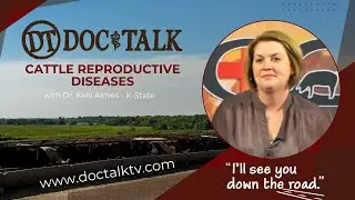 DocTalk Ep 266 - Cattle Reproductive Diseases with Dr. Kelli Almes